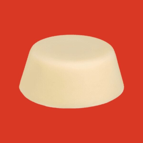 Shampoing solide cheveux colorés Wash Wash Cousin