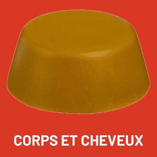 Savon solide corps et cheveux Wash Wash Cousin, un seul pain pour toute la douche