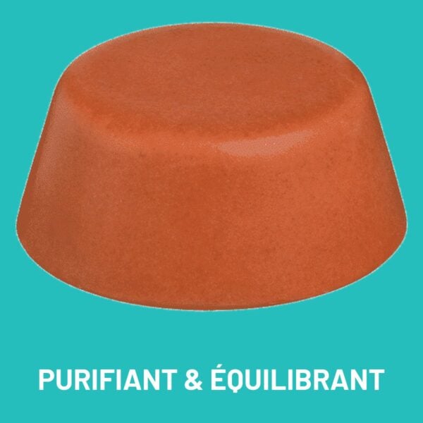 Shampoing solide purifiant et équilibrant pour cheveux mixtes, Wash Wash Cousin