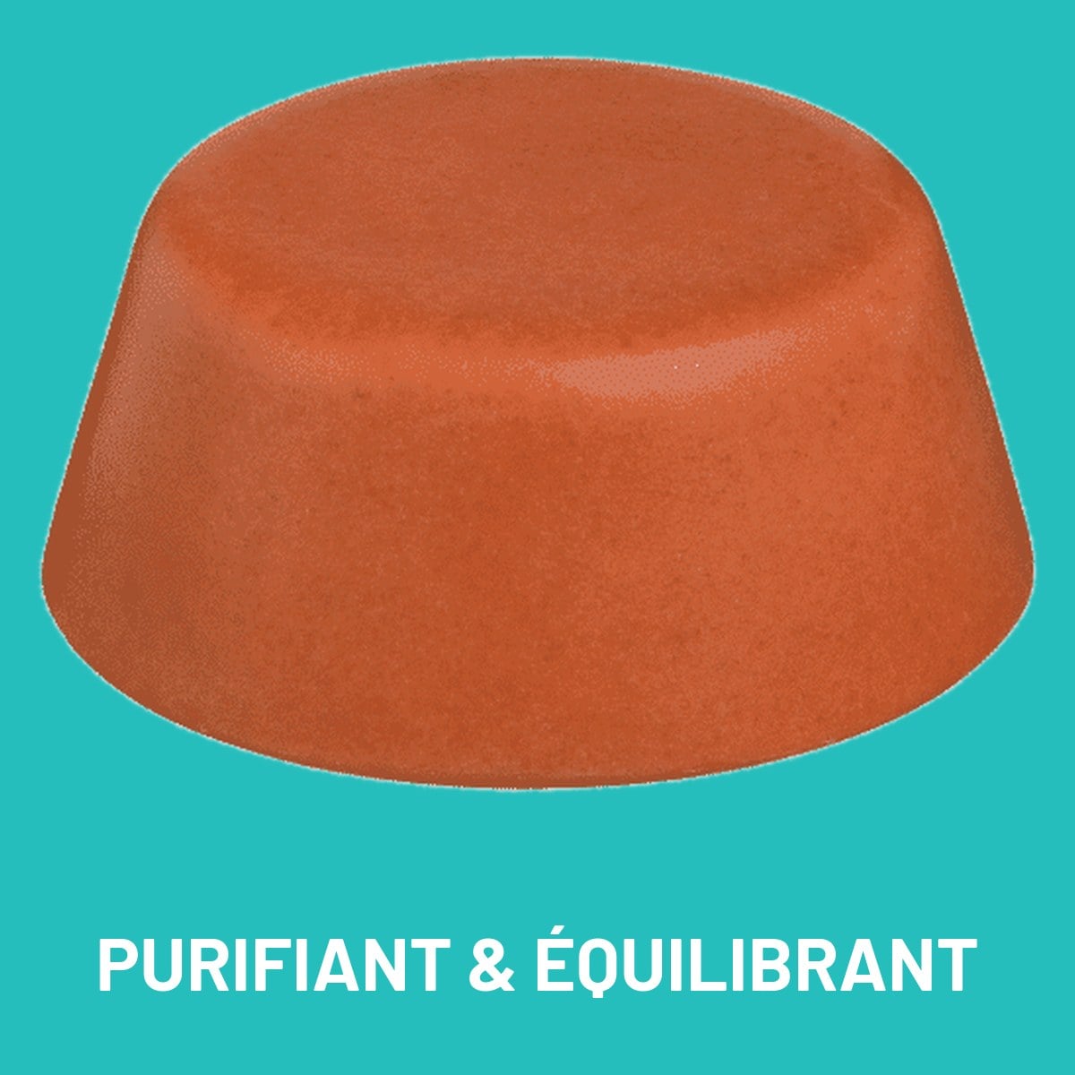 Shampoing solide purifiant et équilibrant – bandeau Shampoing solide purifiant et équilibrant – bandeau